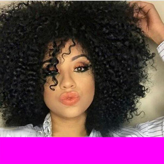 HOT Charming Curly Wig Simulation Human Hair afro Kinky Curly Full
